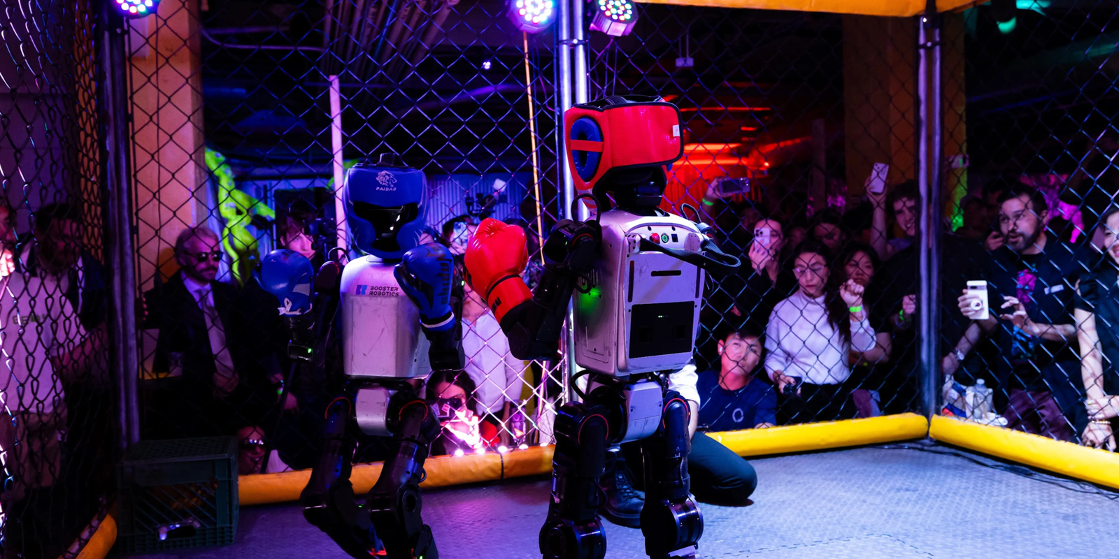 Building Robot Fighting Game - Frodobots